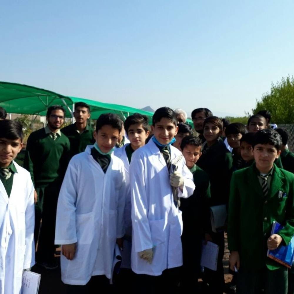 🌟 Aim High School & Montessori 🌟